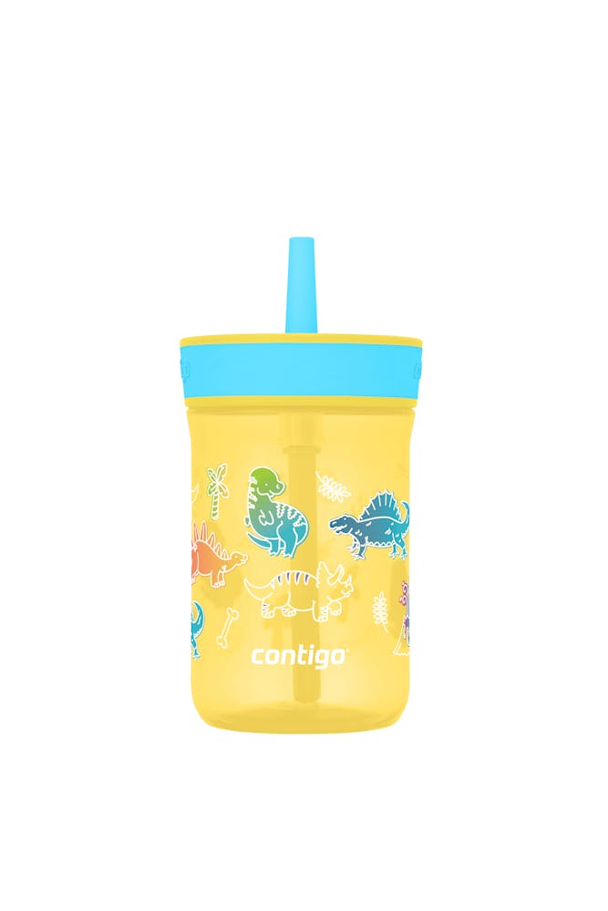 Kids’ Leighton Straw Tumbler with Spill-Proof Leak-Proof Lid, 14oz D9